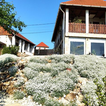Tokaj Hill Panorama Guesthouse Szerencs Εξωτερικό φωτογραφία