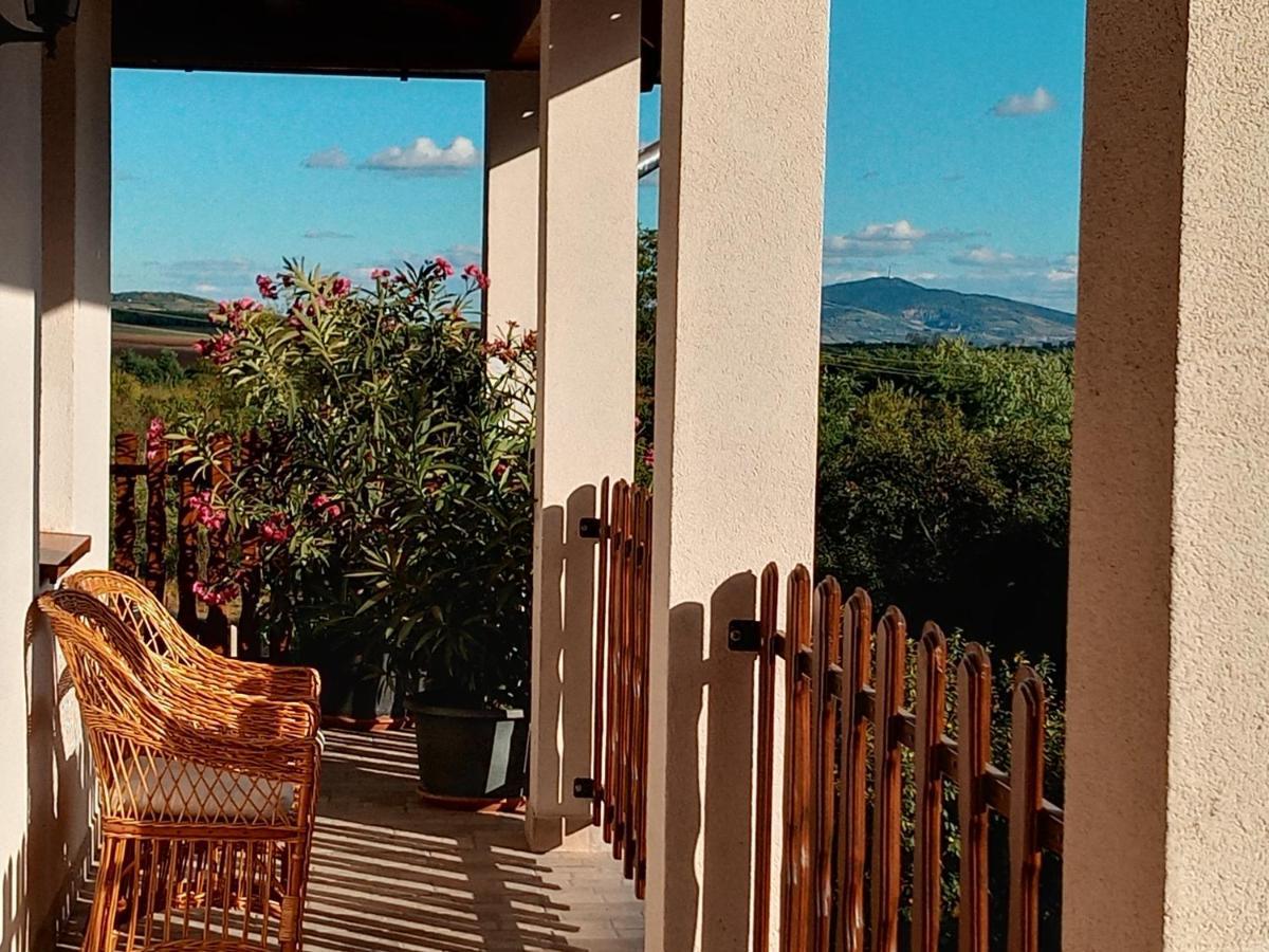 Tokaj Hill Panorama Guesthouse Szerencs Εξωτερικό φωτογραφία