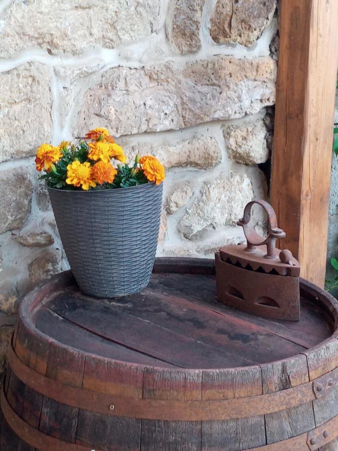 Tokaj Hill Panorama Guesthouse Szerencs Εξωτερικό φωτογραφία