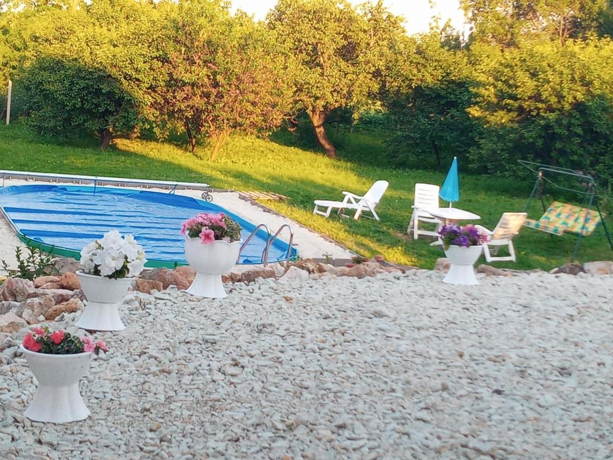 Tokaj Hill Panorama Guesthouse Szerencs Εξωτερικό φωτογραφία