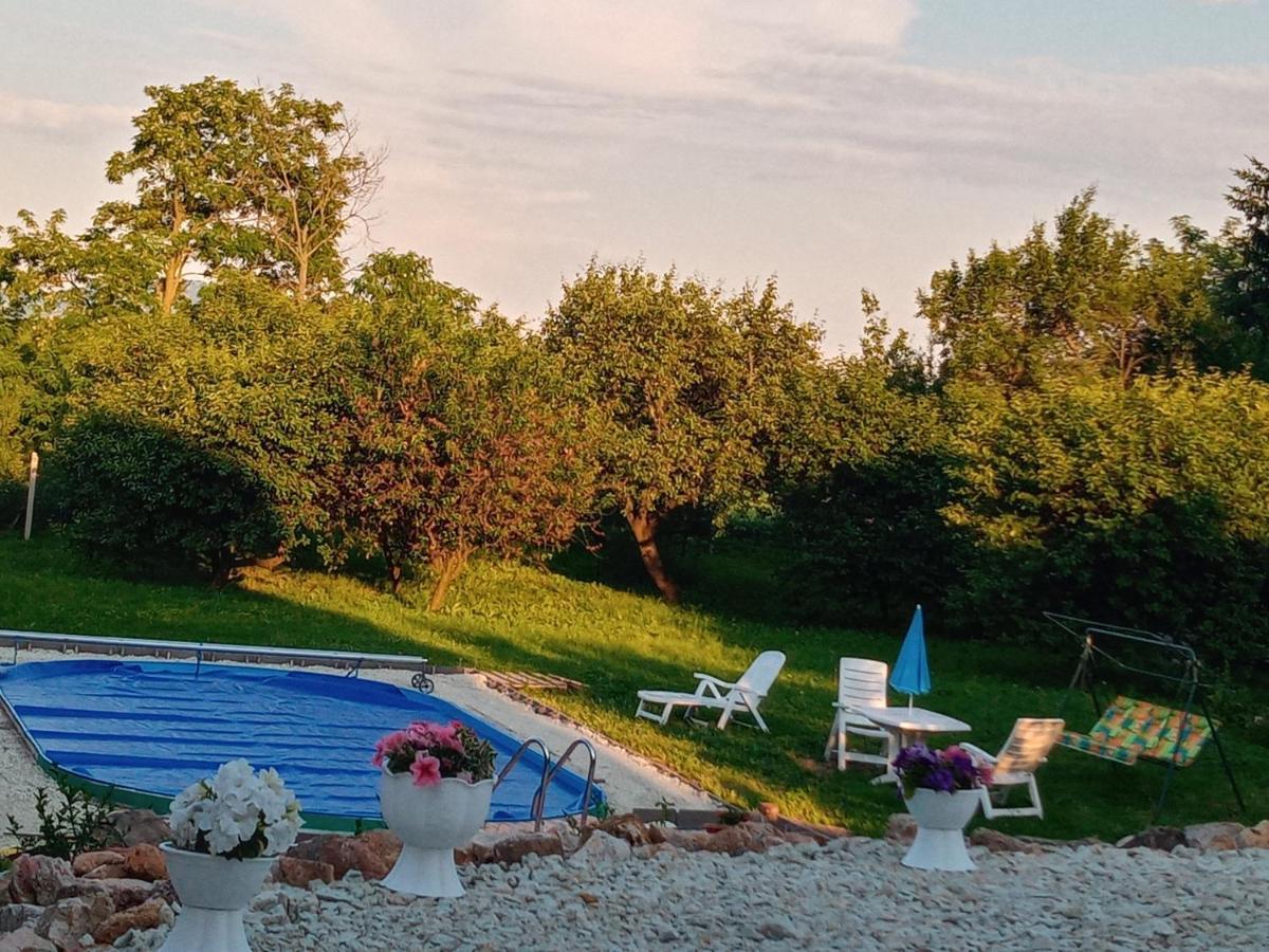 Tokaj Hill Panorama Guesthouse Szerencs Εξωτερικό φωτογραφία
