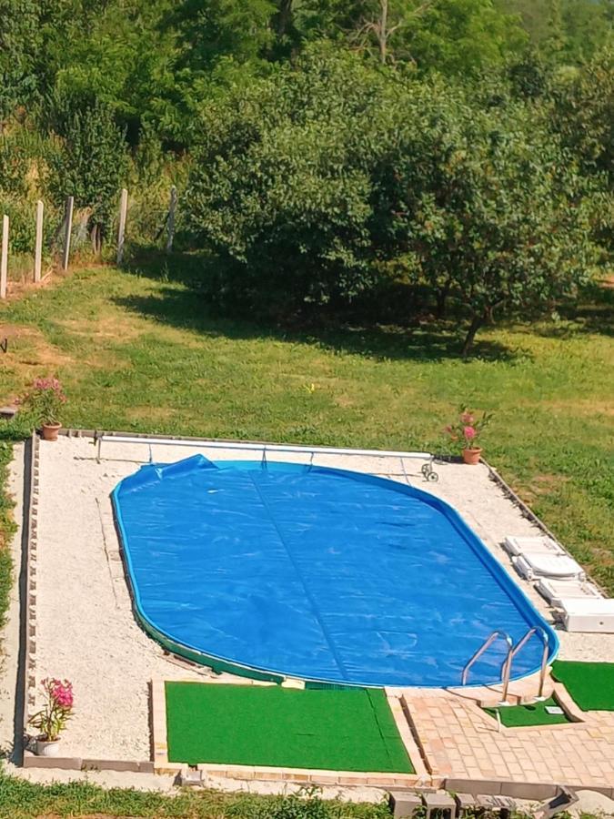 Tokaj Hill Panorama Guesthouse Szerencs Εξωτερικό φωτογραφία