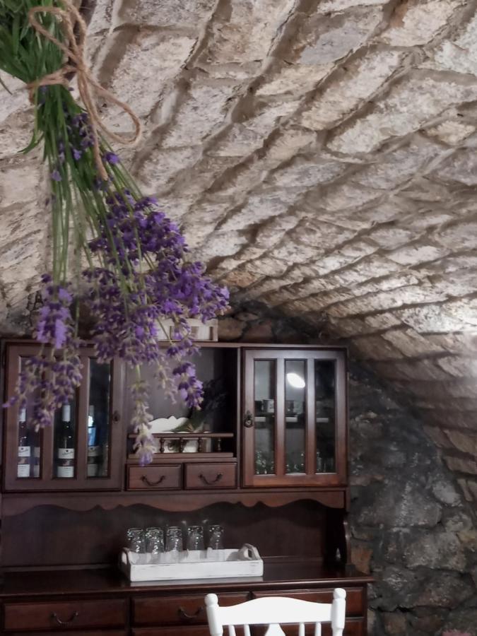Tokaj Hill Panorama Guesthouse Szerencs Εξωτερικό φωτογραφία