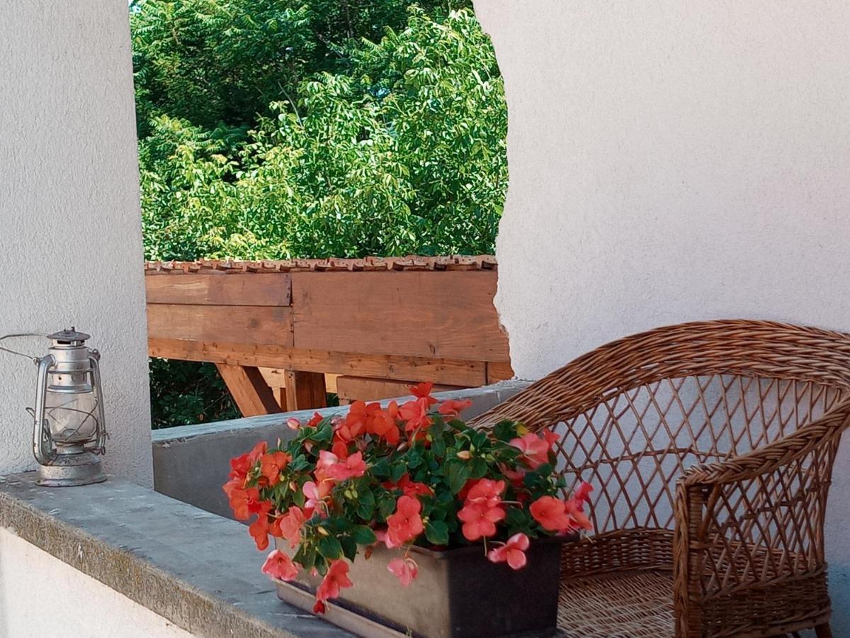 Tokaj Hill Panorama Guesthouse Szerencs Εξωτερικό φωτογραφία