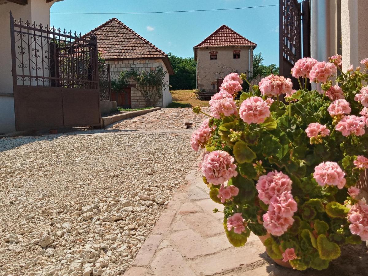 Tokaj Hill Panorama Guesthouse Szerencs Εξωτερικό φωτογραφία