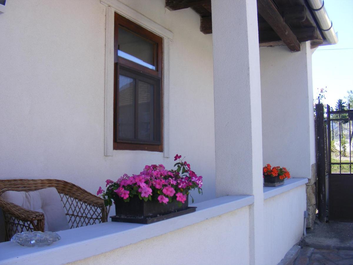 Tokaj Hill Panorama Guesthouse Szerencs Εξωτερικό φωτογραφία
