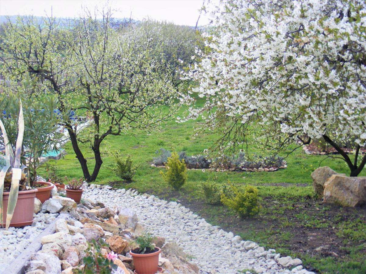 Tokaj Hill Panorama Guesthouse Szerencs Εξωτερικό φωτογραφία
