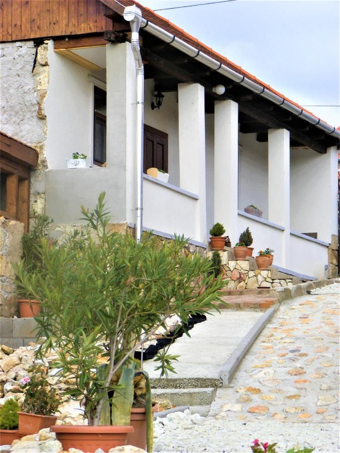Tokaj Hill Panorama Guesthouse Szerencs Εξωτερικό φωτογραφία