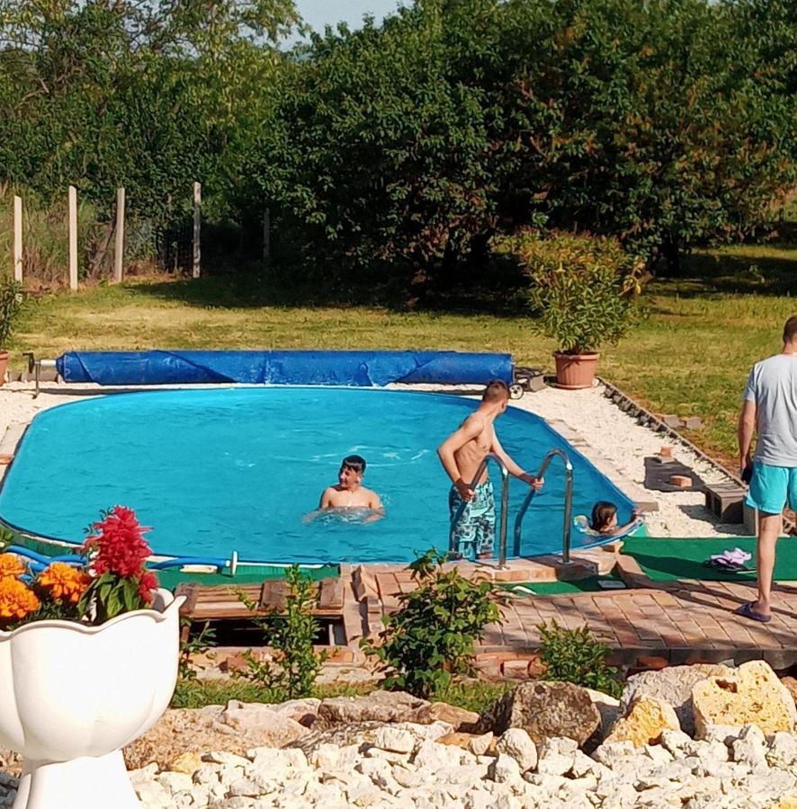 Tokaj Hill Panorama Guesthouse Szerencs Εξωτερικό φωτογραφία