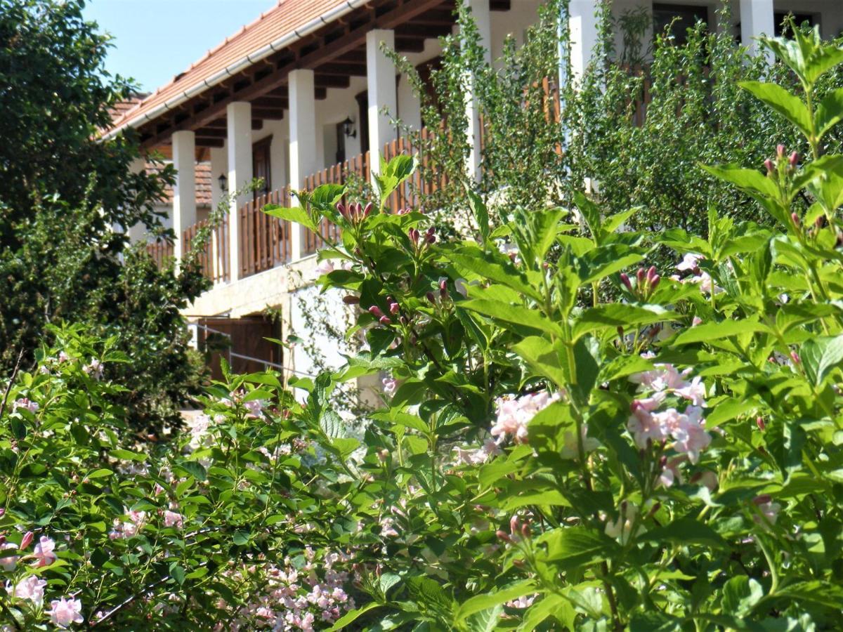 Tokaj Hill Panorama Guesthouse Szerencs Εξωτερικό φωτογραφία