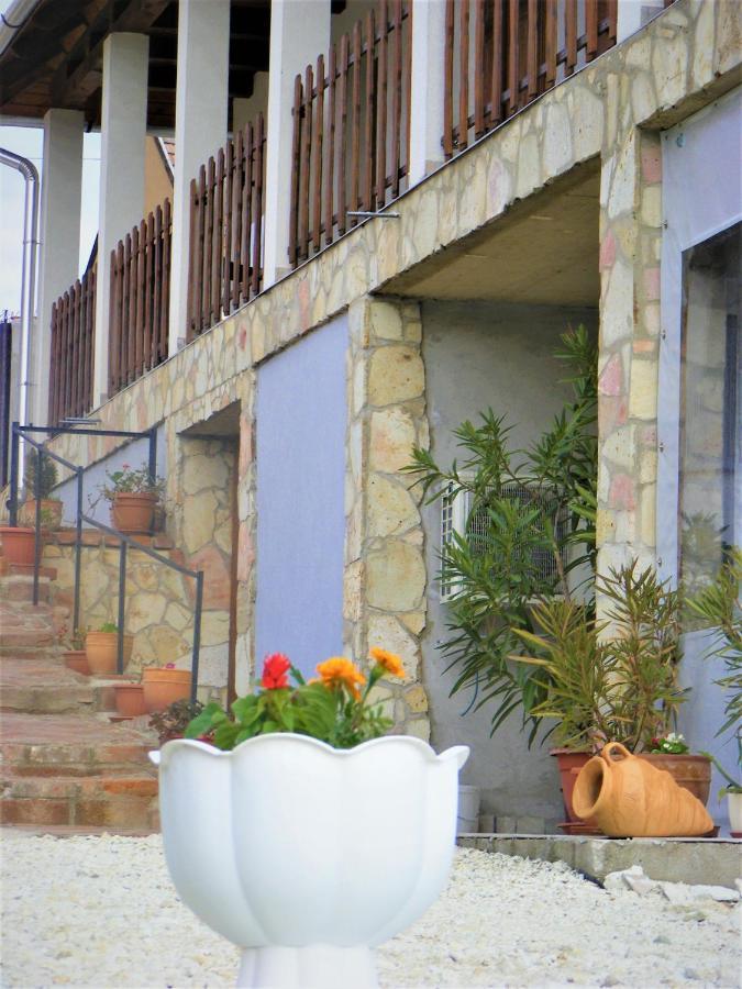 Tokaj Hill Panorama Guesthouse Szerencs Εξωτερικό φωτογραφία