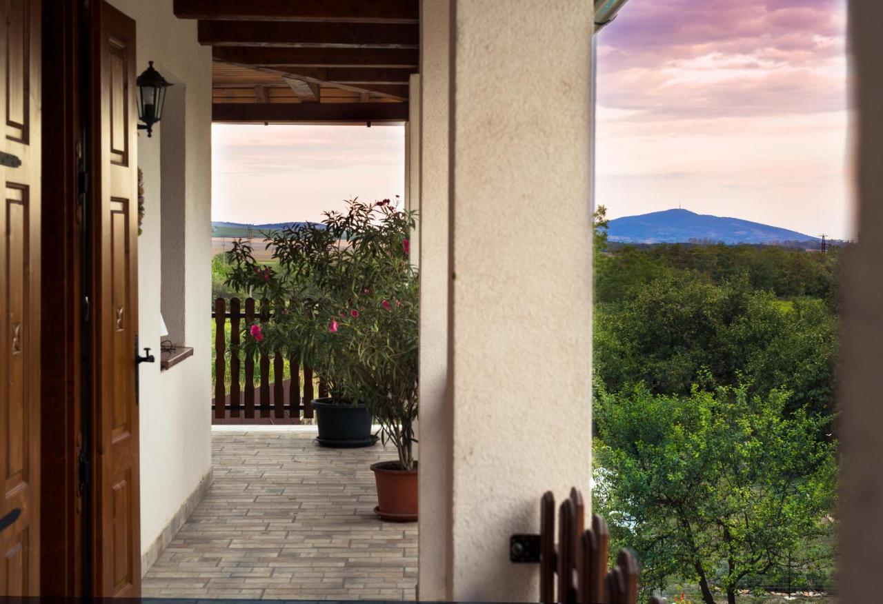 Tokaj Hill Panorama Guesthouse Szerencs Εξωτερικό φωτογραφία