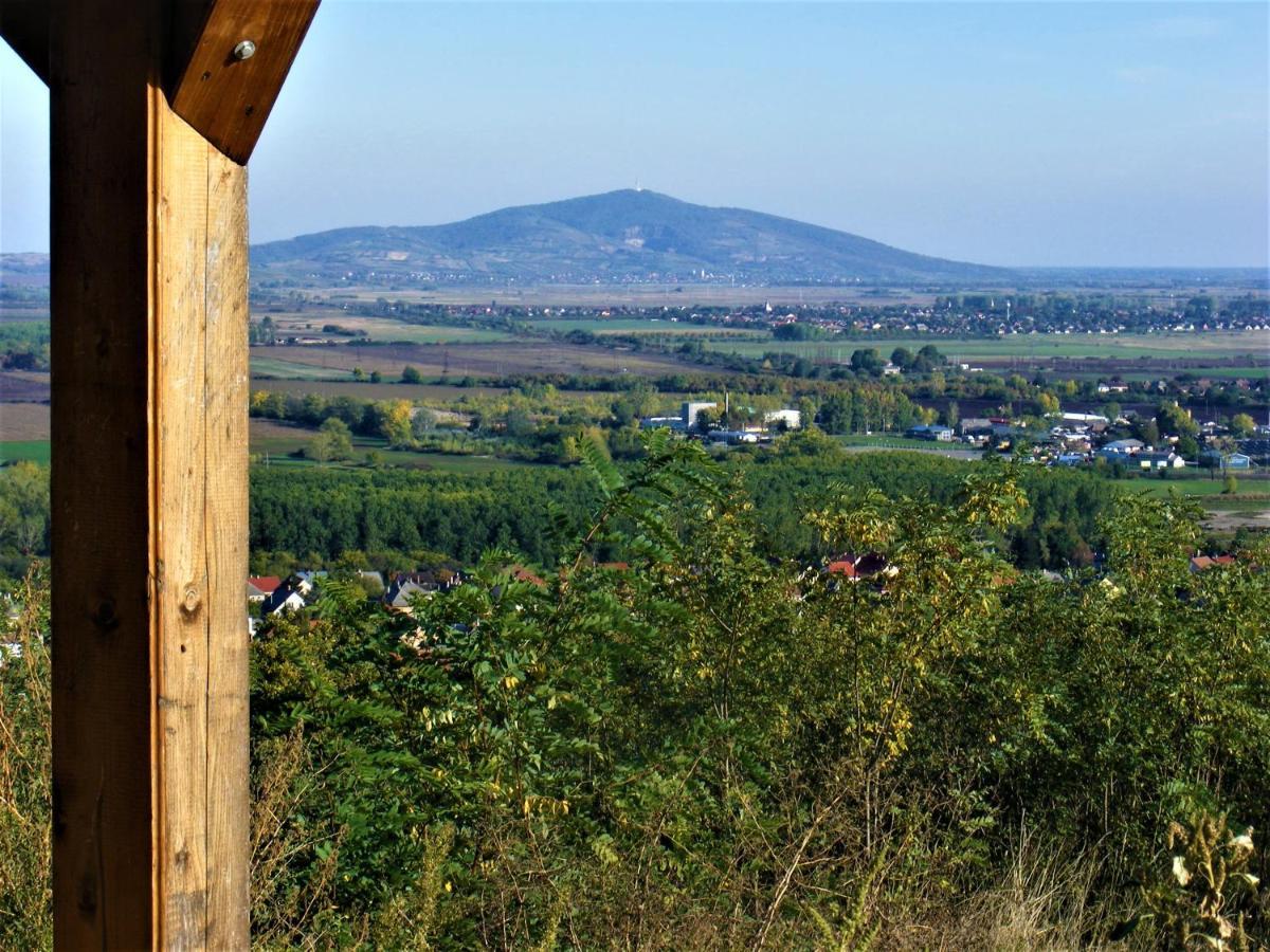 Tokaj Hill Panorama Guesthouse Szerencs Εξωτερικό φωτογραφία