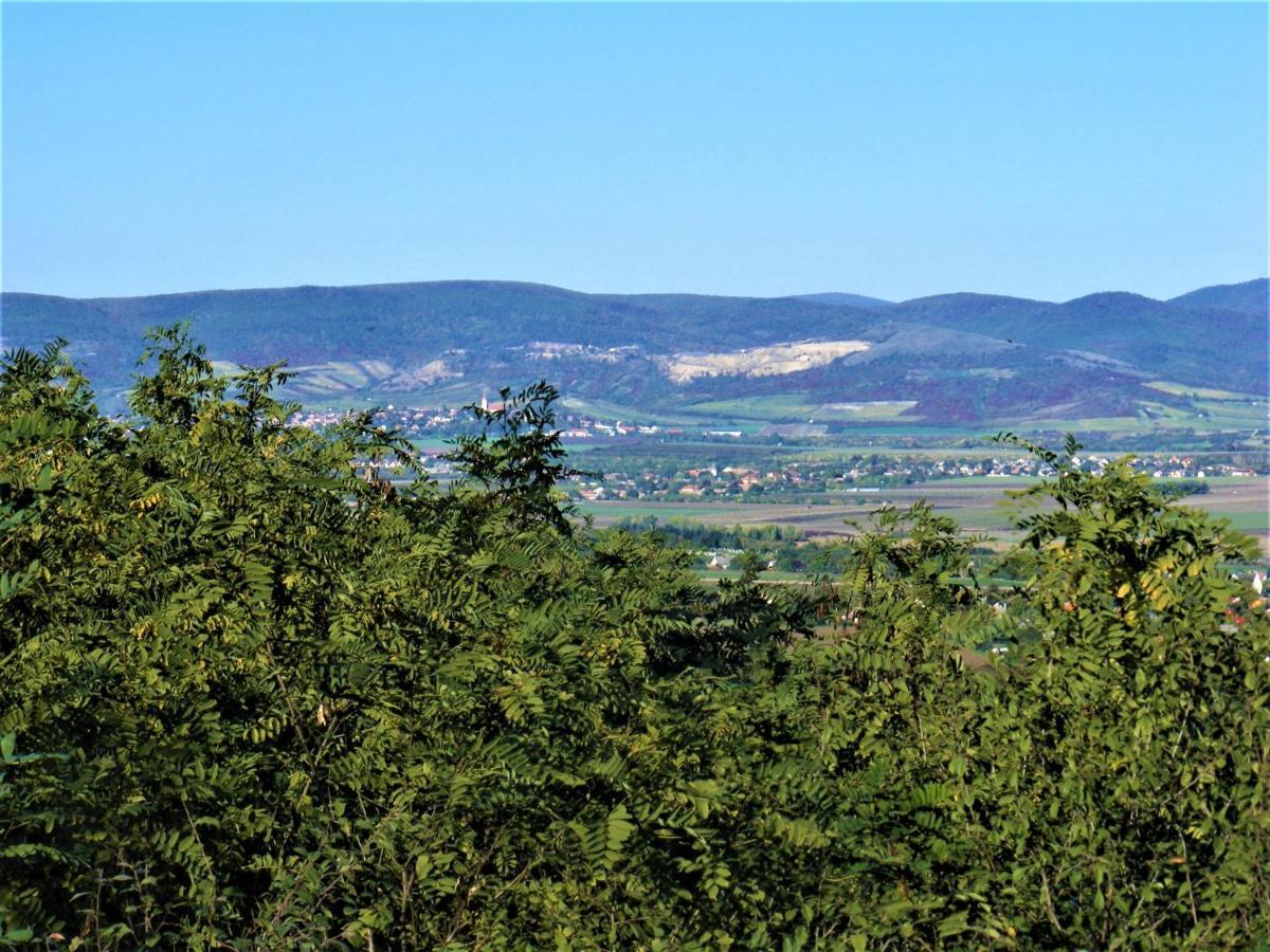 Tokaj Hill Panorama Guesthouse Szerencs Εξωτερικό φωτογραφία