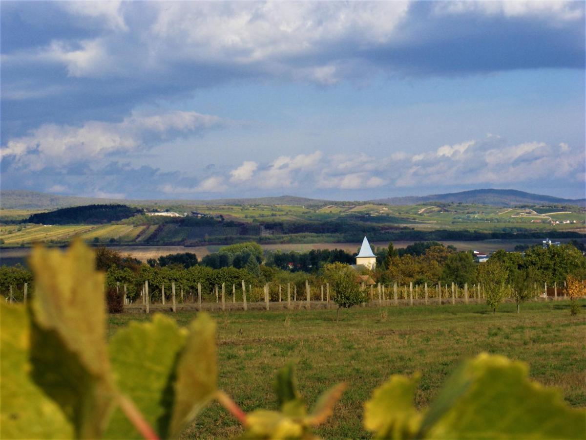 Tokaj Hill Panorama Guesthouse Szerencs Εξωτερικό φωτογραφία