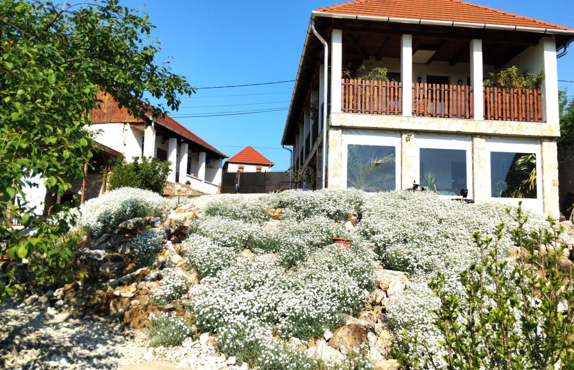 Tokaj Hill Panorama Guesthouse Szerencs Εξωτερικό φωτογραφία